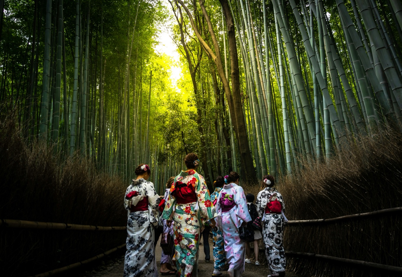 Arashiyama Bamboo Grove: Tips & Best Time to Visit