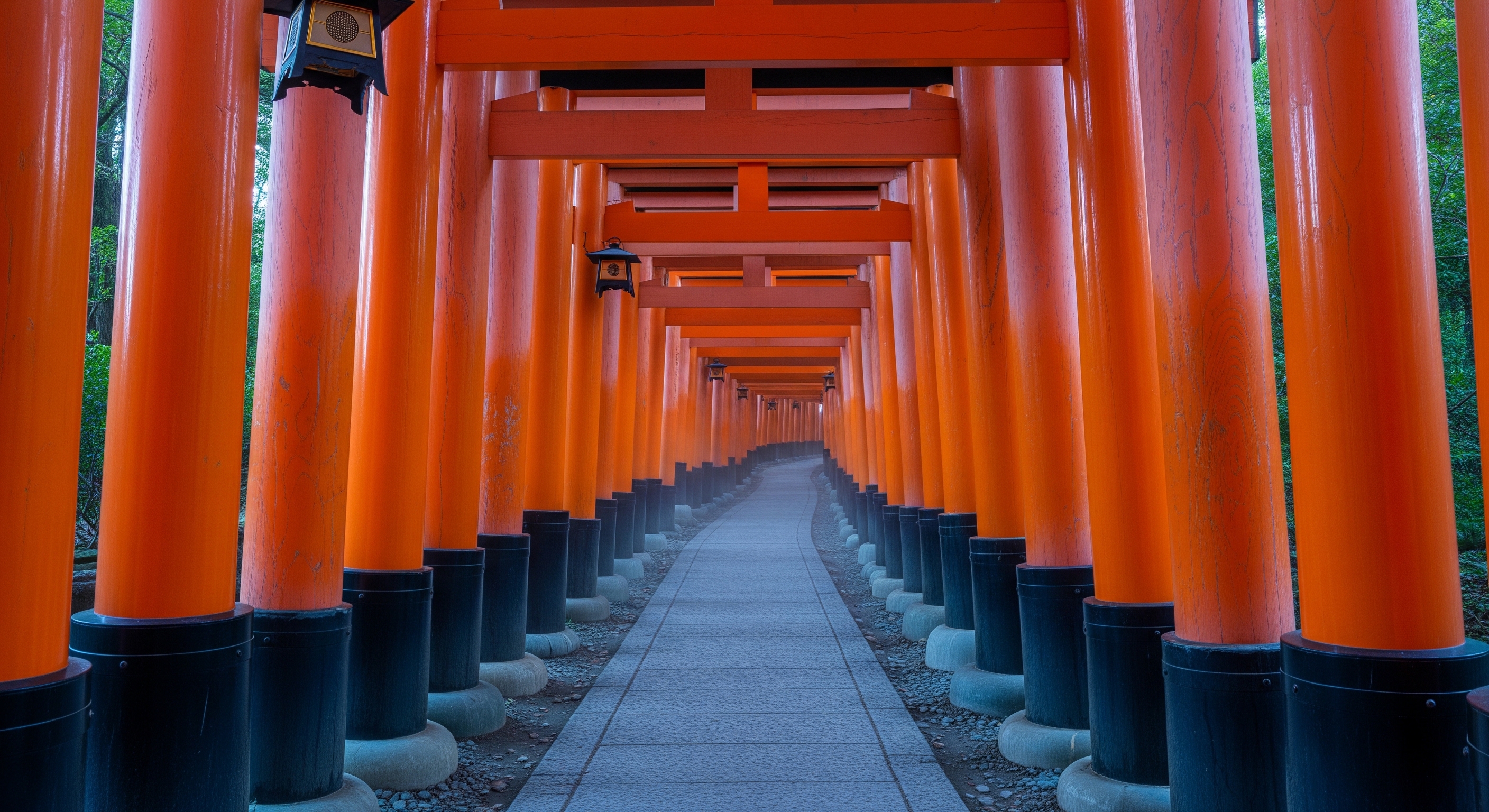 Empty Fushimi Inari torii gate tunnel at 6am, vermilion gates in soft morning light