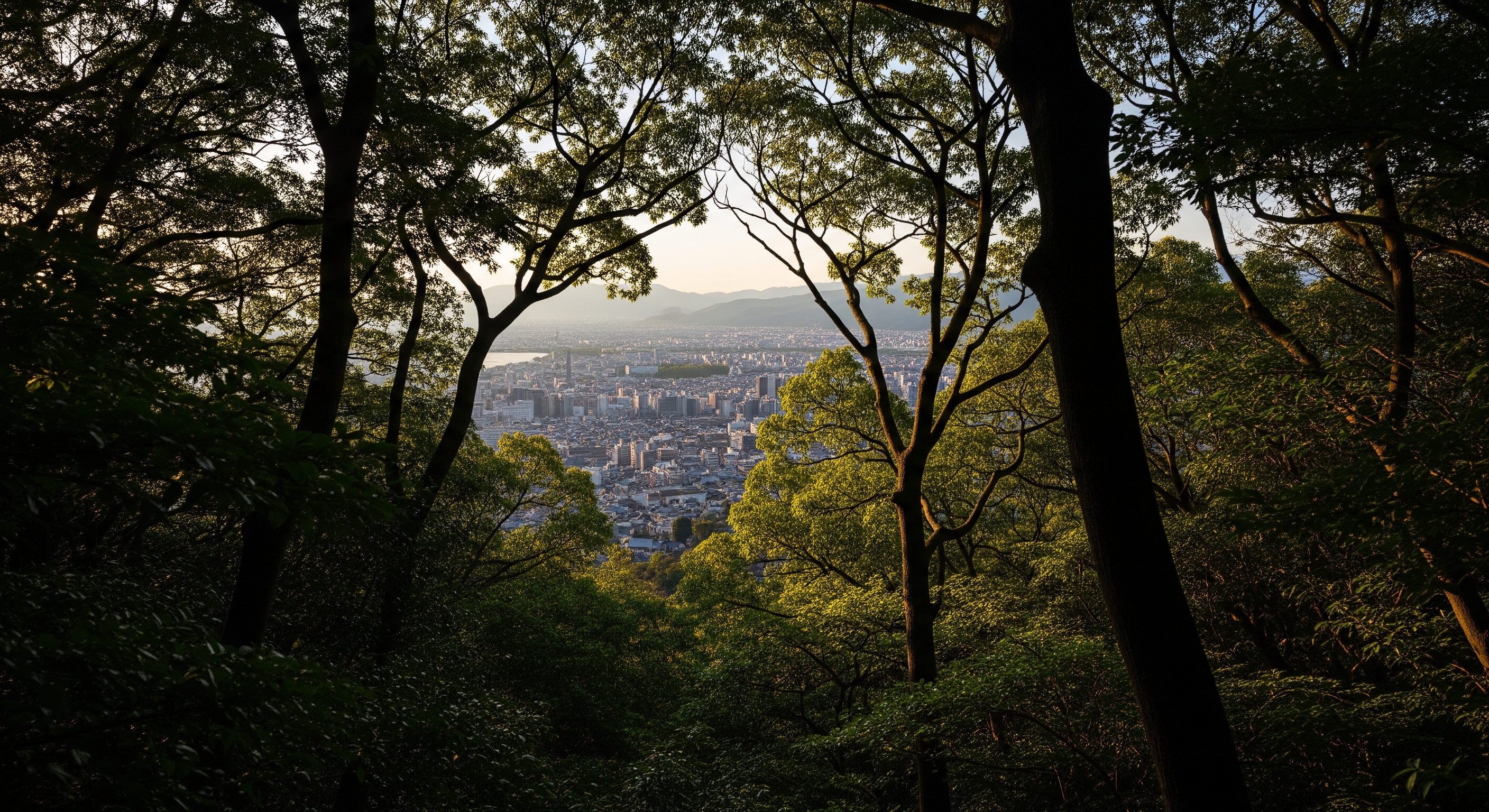 View from Fushimi Inari mountain looking over Kyoto cityscape through tree canopy