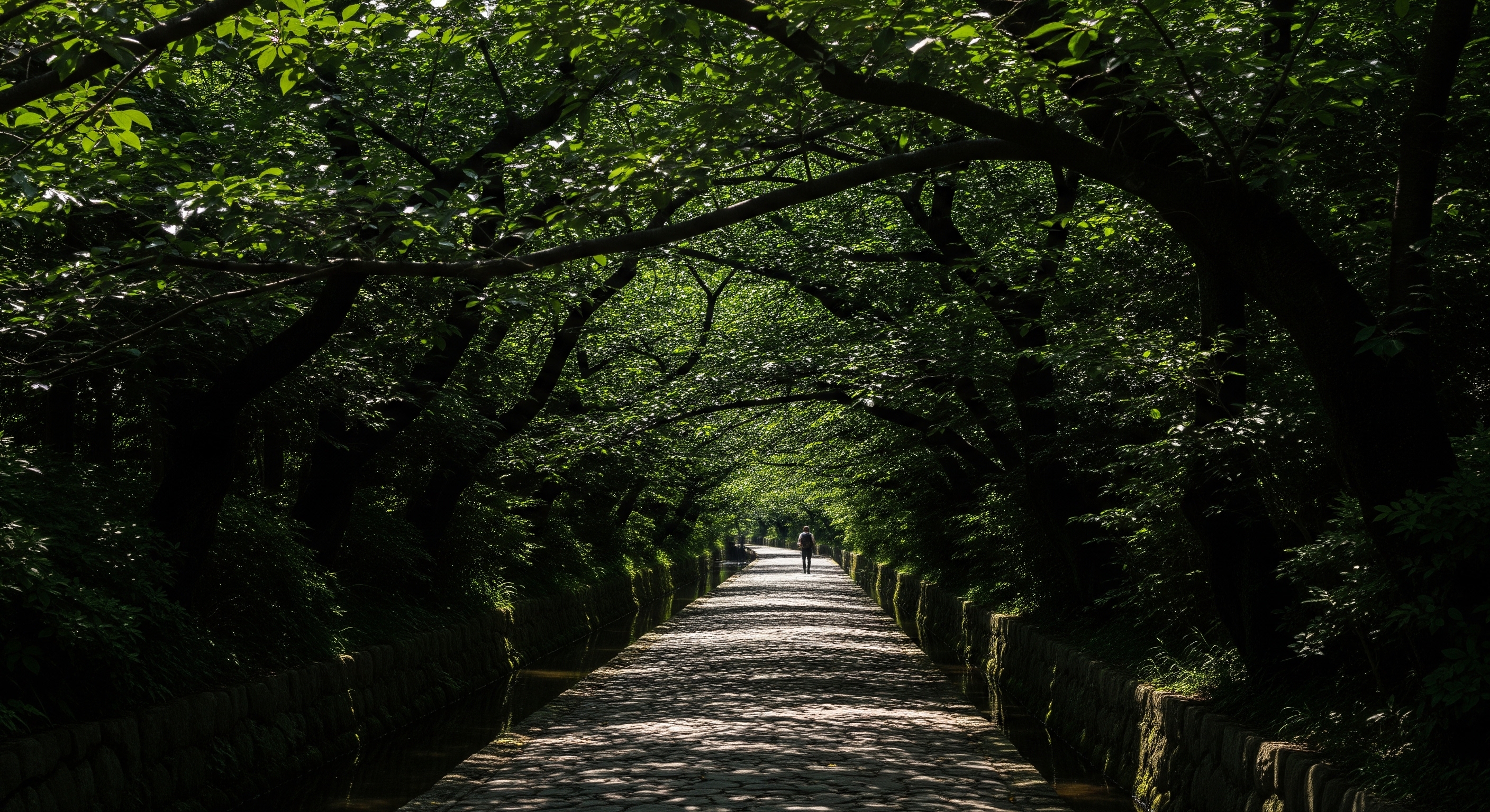 Philosopher's Path canal-side stone walk under canopy of trees with dappled light