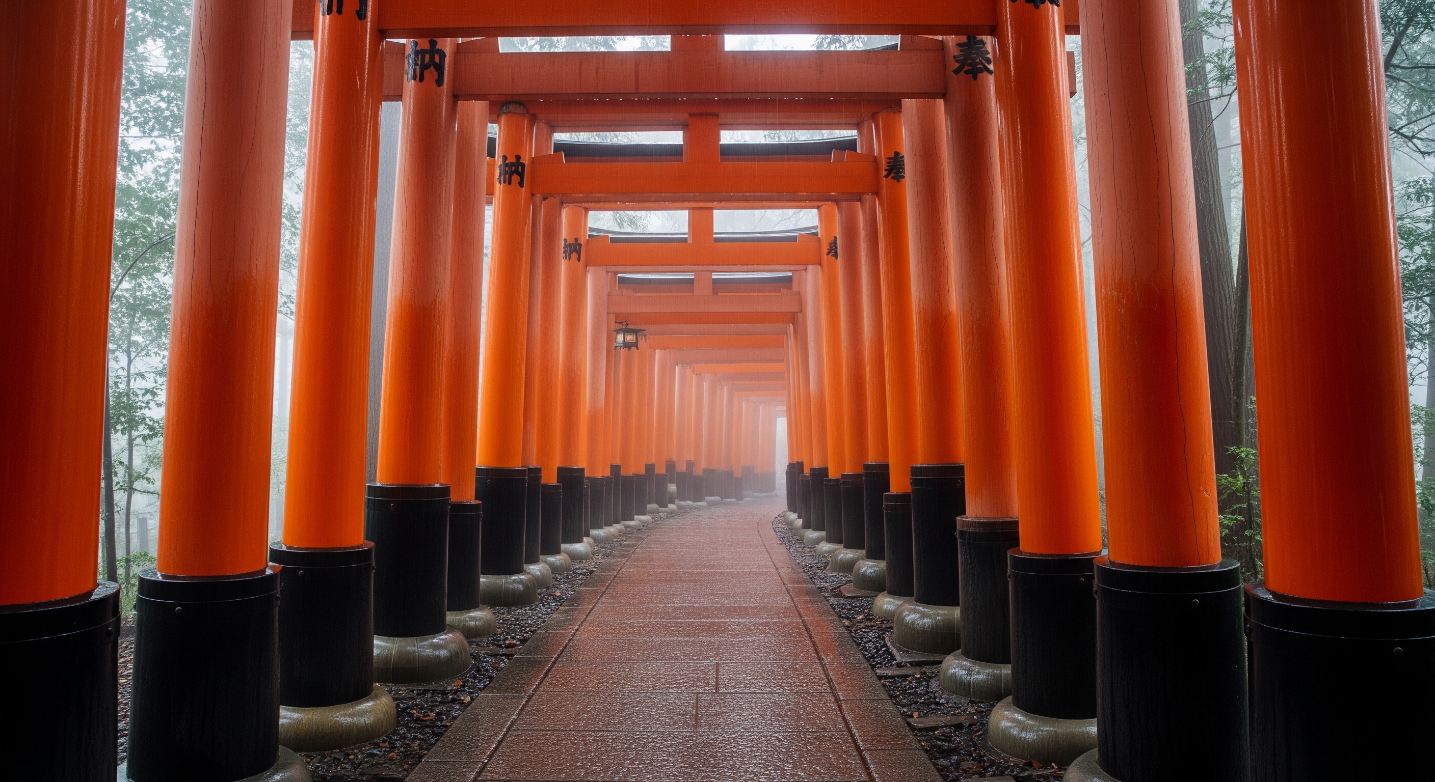 Fushimi Inari torii tunnel in misty rain