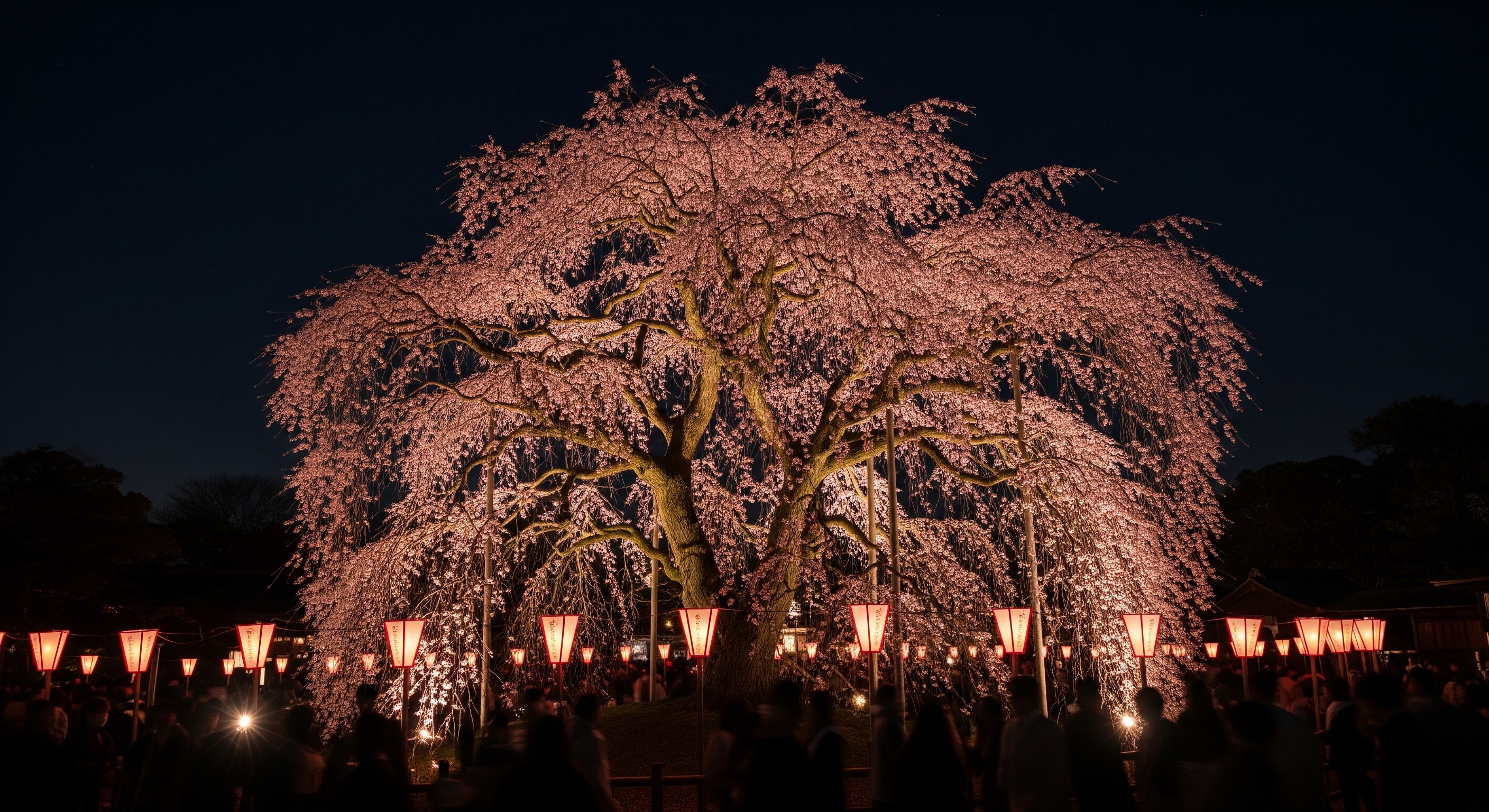Kyoto Cherry Blossom Spots: 10 Best Sakura Places