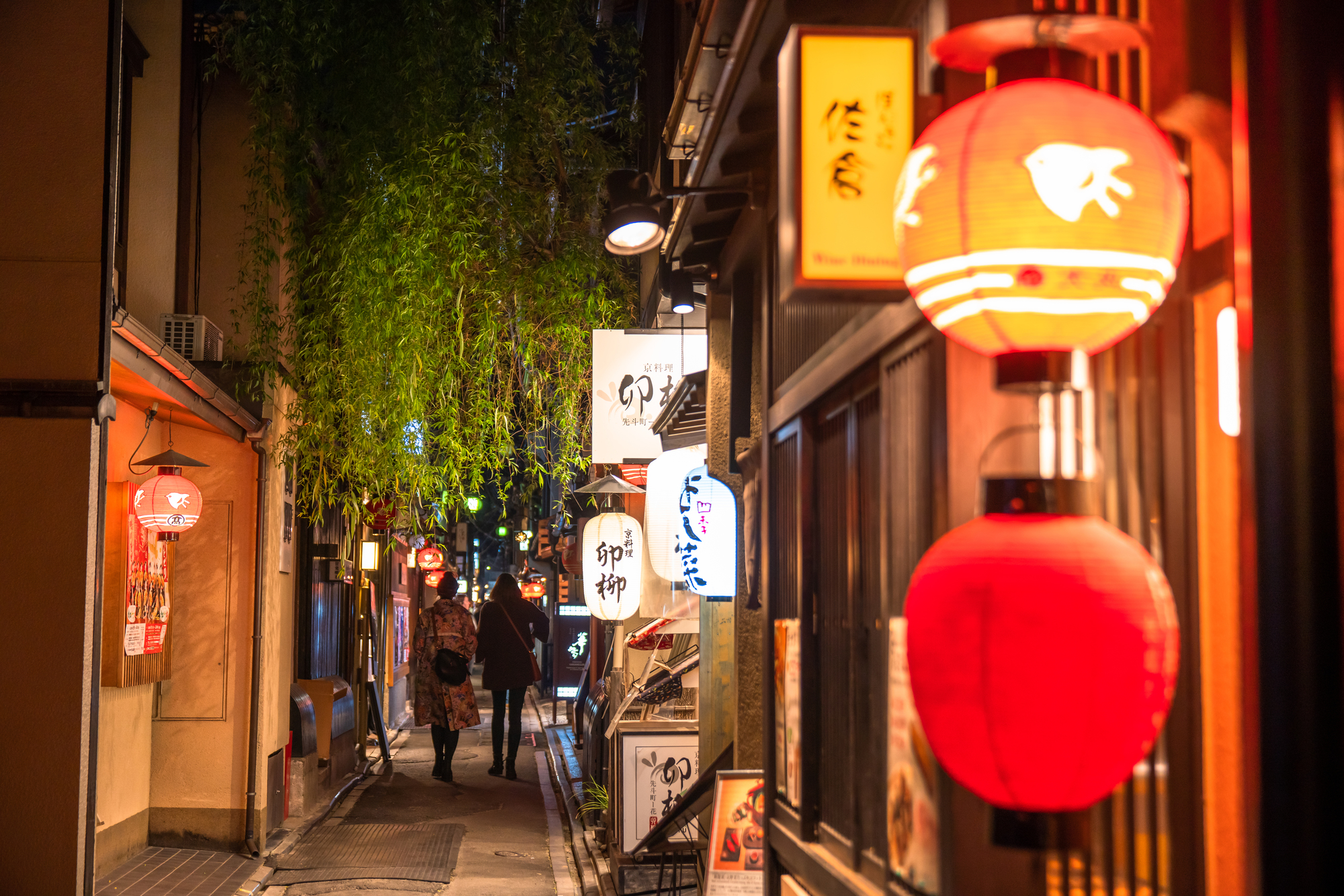 Red lanterns glowing in a Pontocho alley at night